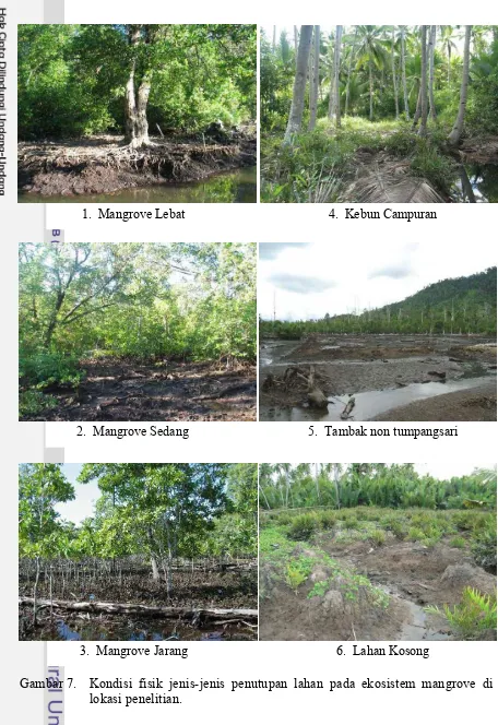 Gambar 7.  Kondisi fisik jenis-jenis penutupan lahan pada ekosistem mangrove di 
