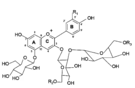 Gambar 1.  Struktur antosianin ubi jalar ungu (Truong et al. 2010) 