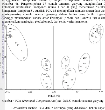 Gambar 4 PCA (Principal Component Analysis) dari 57 contoh tanaman ganyong 