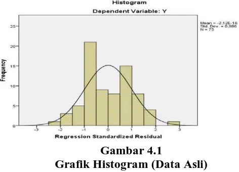 Gambar 4.1 Grafik Histogram (Data Asli) 