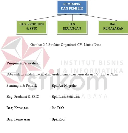 Gambar 2.2 Struktur Organisasi CV. Lintas Nusa 