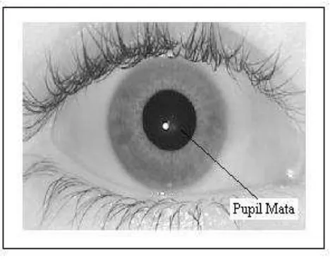 Gambar 2.5 Pupil mata 