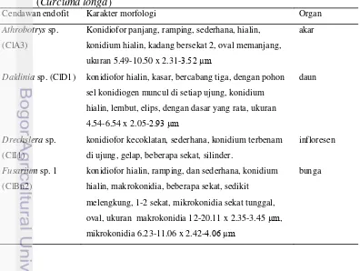 Tabel 1 Karakter morfologi cendawan endofit asal seluruh organ tanaman kunyit (Curcuma longa)  