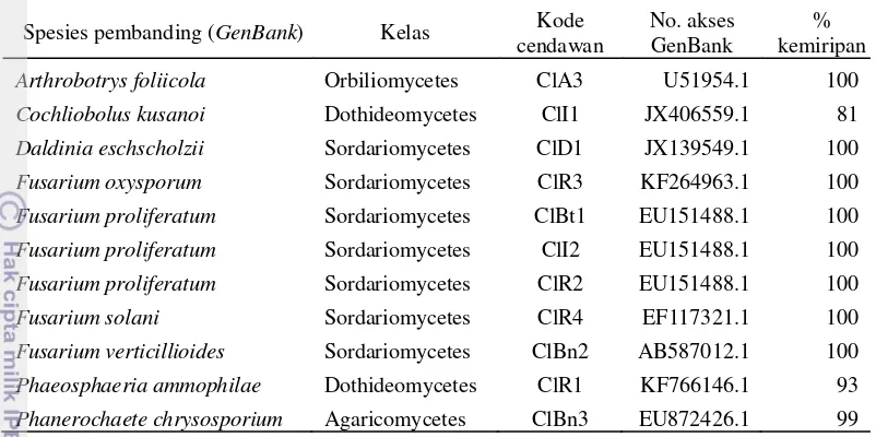 Tabel 2 Cendawan endofit asal tanaman kunyit (Curcuma longa) berdasarkan identifikasi molekuler menggunakan daerah ITS 