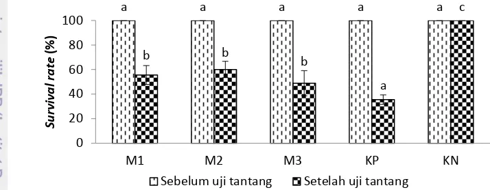 Gambar 10.   Survival rate (SR) udang vaname (L. vannamei) sebelum dan setelah uji tantang dengan WSSV