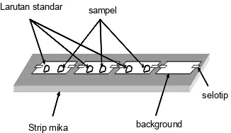 Gambar 5 Pengemasan sampel, standar dan background untuk iradiasi dalam reaktor 