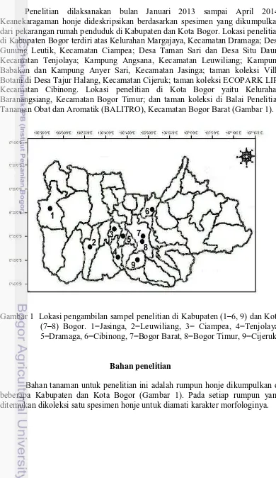 Gambar 1  Lokasi pengambilan sampel penelitian di Kabupaten (1–6, 9) dan Kota 