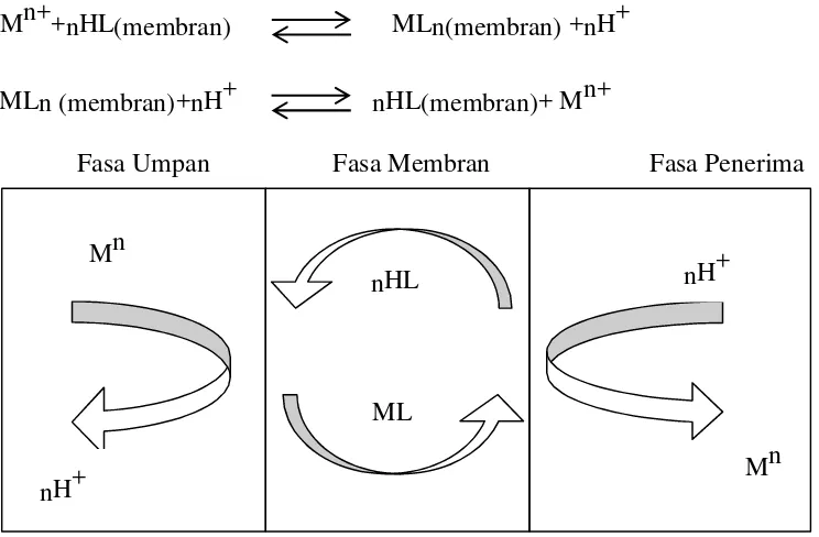 Gambar 1. Mekanisme pemisahan ion logam