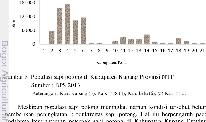 Gambar 3  Populasi sapi potong di Kabupaten Kupang Provinsi NTT 