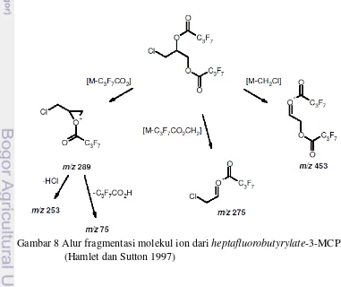 Gambar 8 Alur fragmentasi molekul ion dari heptafluorobutyrylate-3-MCPD 