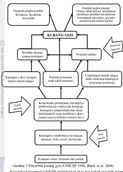 Gambar 3 Penyebab kurang gizi (UNICEF 1998, Black et al. 2008) 