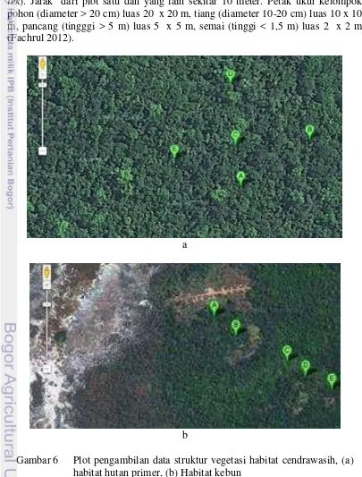 Gambar 6   Plot pengambilan data struktur vegetasi habitat cendrawasih, (a)    