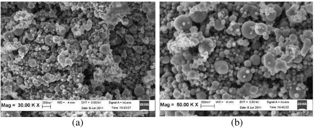 Figure 1. Field Emission SEM of the commercial BST powder.