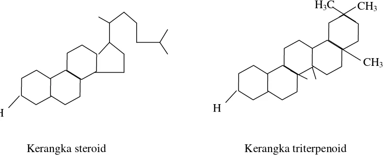 Gambar 2.2 Struktur saponin steroid dan saponin triterpenoid 