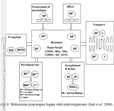 Gambar 8  Mekanisme penyarapan logam oleh mikroorganisme (Sud et al. 2008) 