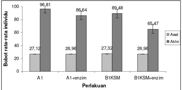 Gambar 3. Bobot rata-rata individu ikan lele dumbo (Clarias sp) selama penelitian 