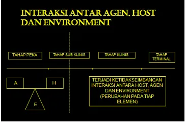 Gambar pola interaksi antara Host, agen dan environtment