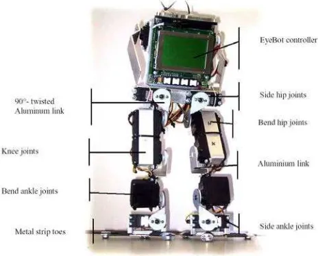 Figure 2.1: Andy Droid Robot 