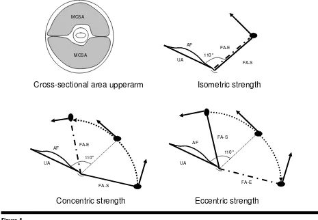 Figure 1Graphical representation of MCSA, isometric, concentric and eccentric strength.