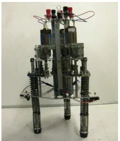 Figure 1. Developed tripod hopping robot 