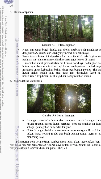 Gambar 5.2  Hutan simpanan 