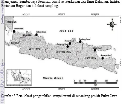 Gambar 3 Peta lokasi pengambilan sampel mimi di sepanjang pesisir Pulau Jawa. 