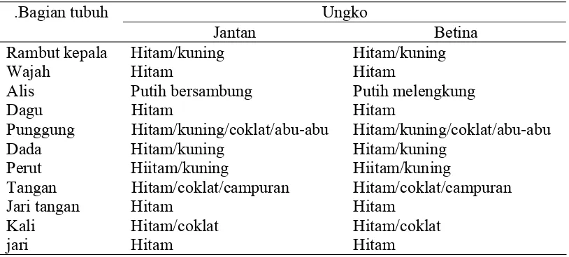 Tabel 1. Deskripsi karakteristik ungko secara kualitatif  