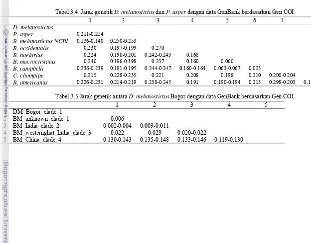 Tabel 3.4  Jarak genetik D. melanostictus dan P. asper dengan data GenBank berdasarkan Gen COI 