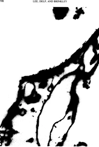 FIG. 4. Look-up matrix image. 