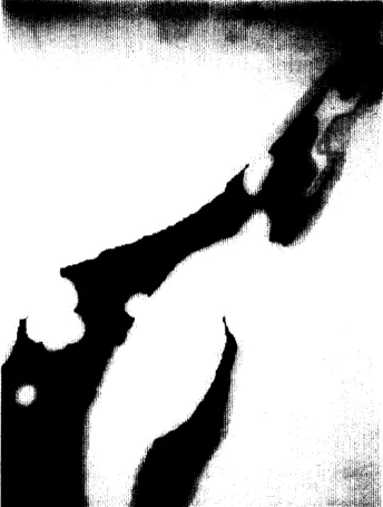 FIG. 6. The final look-up matrix 
