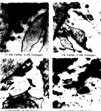 table material (TAPM) FIG. 8. Four electron micrographs analyzed by the algorithm. The amount of tannic acid-precipl- and collagen is expressed as percentage of extracellular space covered
