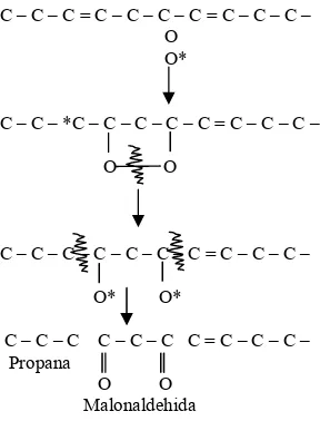 Gambar 4. Reaksi pembentukan malonaldehida (Nawar, 1985) 
