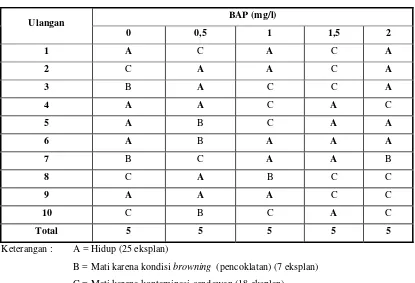 Tabel 2 Data eksplan pucuk kemaitan yang hidup hingga 12 MST 