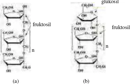 Gambar 2.2. Struktur kimia (a) oligofruktosa dan (b) inulin 