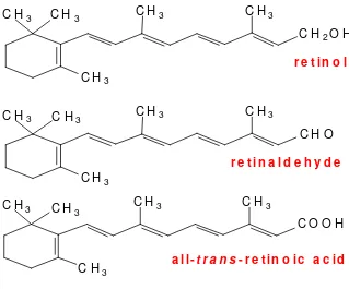 Gambar 1 Struktur vitamin A (Bender 2002) 