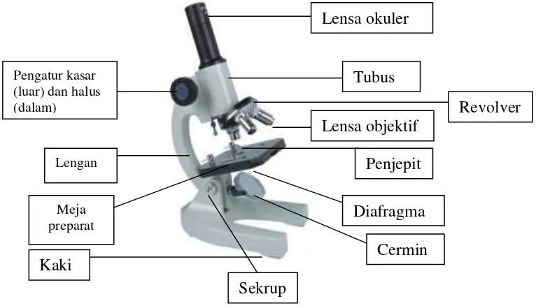 Gambar 2.2 Bagian-bagian mikroskop monokuler 