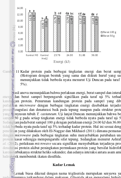Gambar 11 Kadar protein pada berbagai tingkatan energi dan berat sampel. 