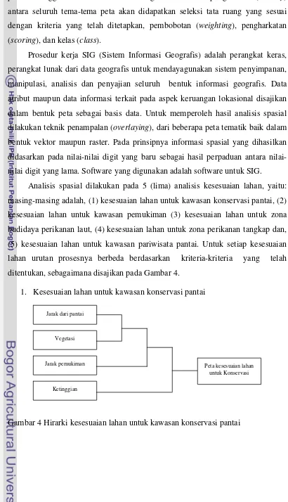 Gambar 4 Hirarki kesesuaian lahan untuk kawasan konservasi pantai 