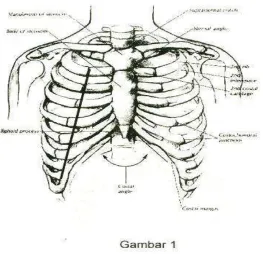 gambar di bawah ini (Gambar 1). 