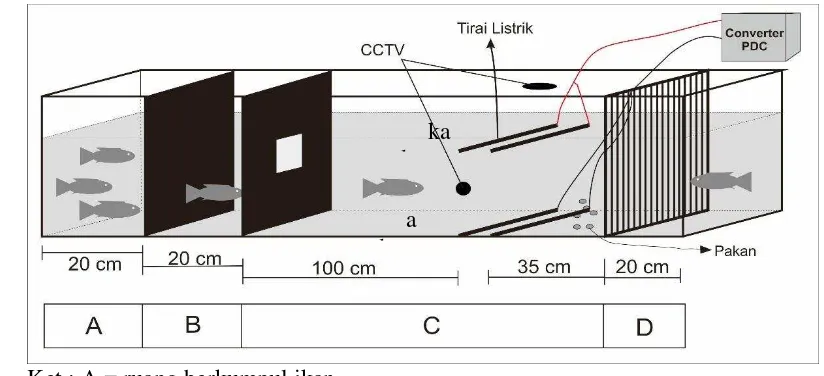 Gambar 2. Wadah (akuarium) penampungan ikan ujiAkuarium pengamatan pada ikan secara individual dilengkapi dengan sekat- 