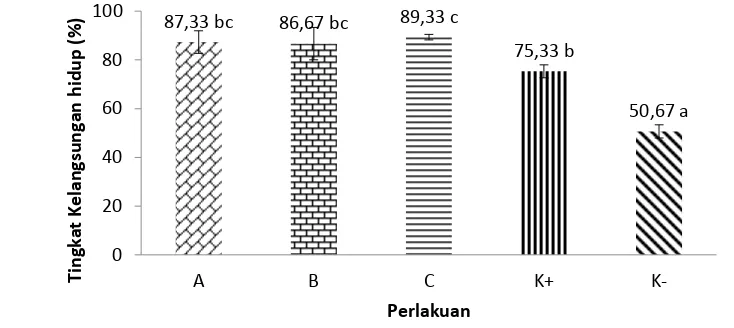 Gambar 2 Kelangsungan hidup ikan lele ( Clarias sp.) dalam budidaya super intensif berbasis bioflok (A: perlakuan dosis 102 CFU ml-1; B:  perlakuan dosis 104 CFU ml-1; C: perlakuan dosis 106 CFU ml-1; K+: kontrol positif; K-: kontrol negatif) dengan penamb