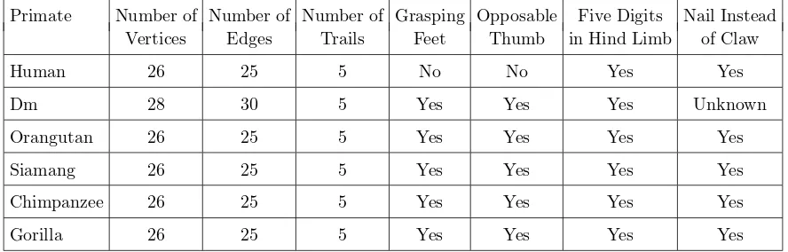Table 4Primate Foot Comparison Based on the Number of Vertices, Edges, Trails, and the Standard Primate Classiﬁcation Criteria