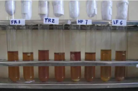 Gambar 6 Hasil uji fermentatif  pada isolat FR1, FR2, HF7 dan LF6, setelahinkubasi 48 jam