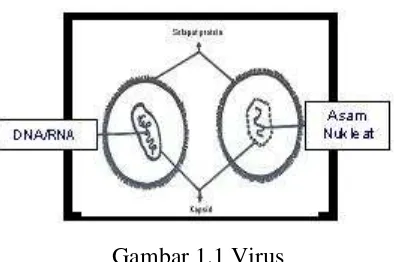Gambar 1.1 Virus 