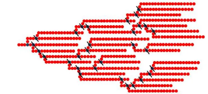 Gambar 2. Debranching ikatan α-1,6 pada percabangan amilopektin oleh 