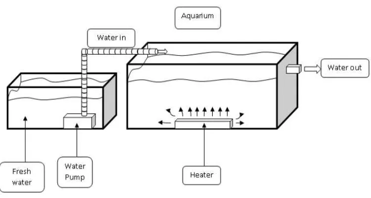 Figure 2.1: The project design of  Robert Warrington who builds the first aquarium 