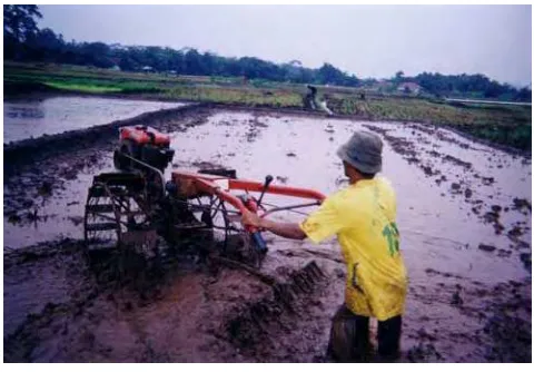 Gambar 7. Penggaruan dengan menggunakan traktor roda dua 