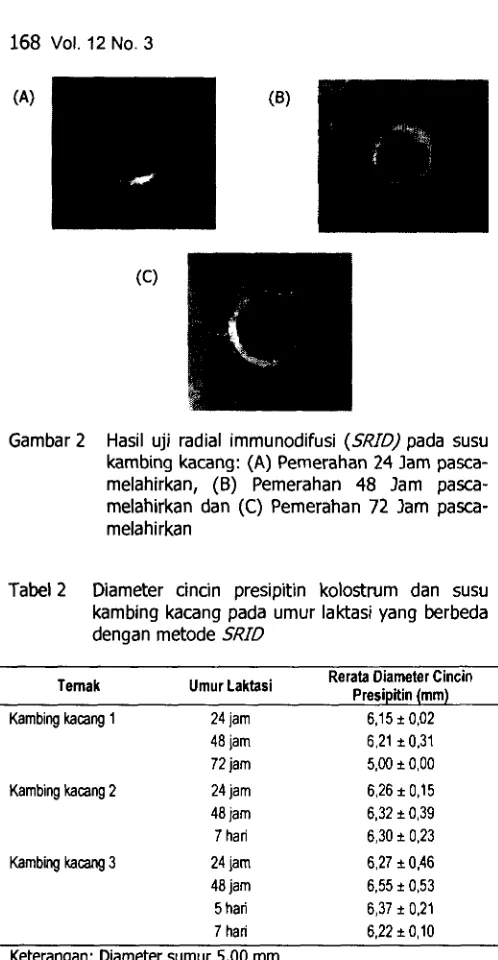 Tabel 2 Diameter cincin presipitin kolostrum dan susu 