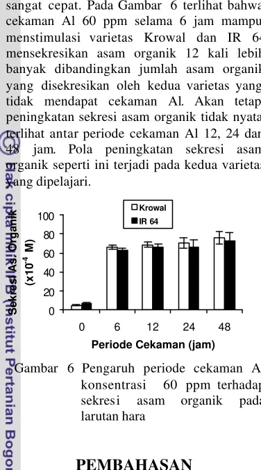 Gambar 6 Pengaruh periode cekaman Al 