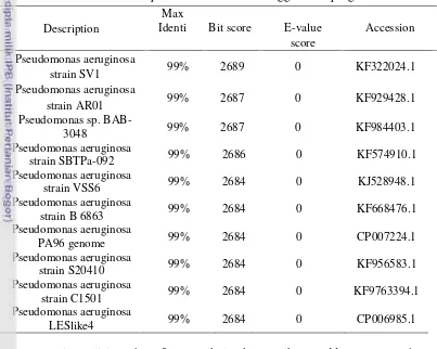 Tabel 2 Perbandingan tingkat kemiripan sekuen isolat BH2 dengan beberapa 